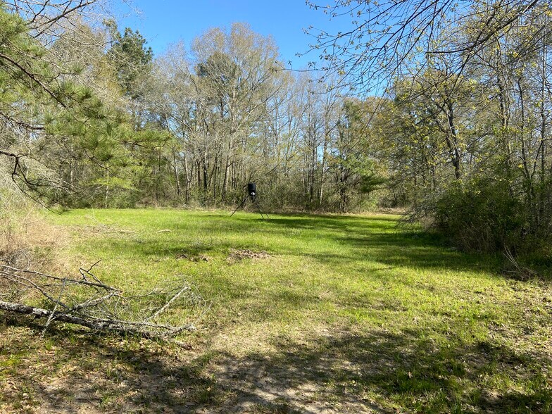 More Photos Of 24030 Hegar Rd, Hockley Land For Sale