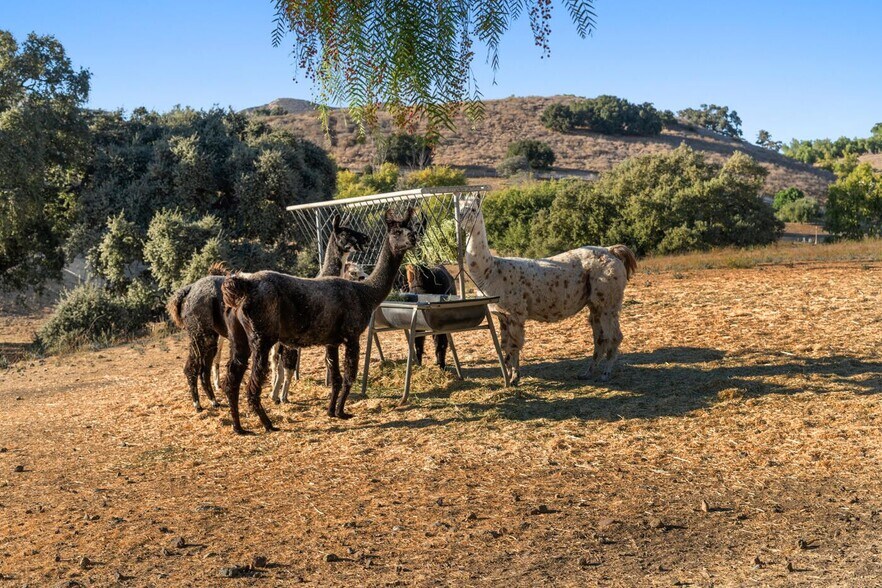 More Photos Of 7351 Happy Canyon Rd, Santa Ynez Land For Sale