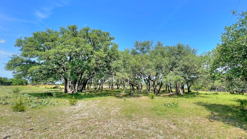 More Photos Of County Road 253, Bertram Land For Sale