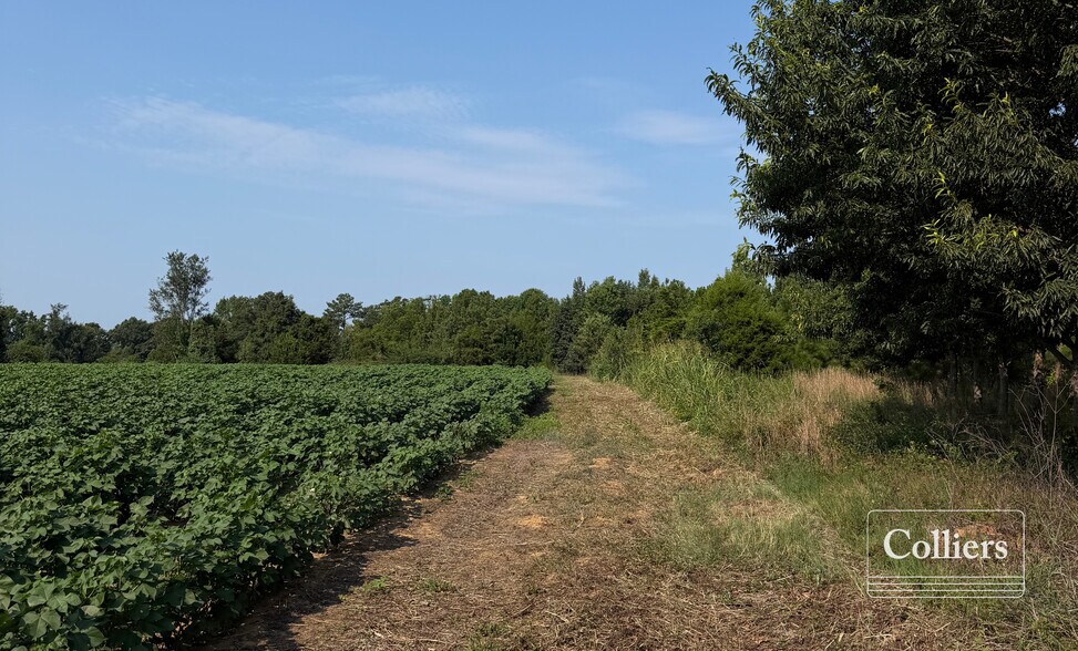 More Photos Of Joes Trail, Monetta Land For Sale