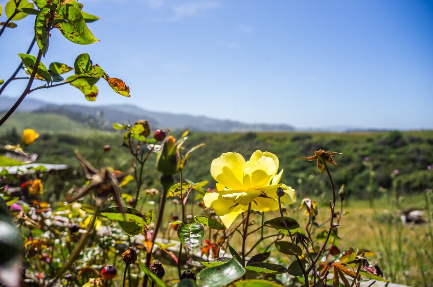 More Photos Of 16401 South Highway 1, Manchester Land For Sale