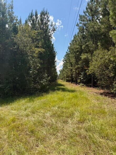 More Photos Of 333 Samuel Dr, Springfield Land For Sale