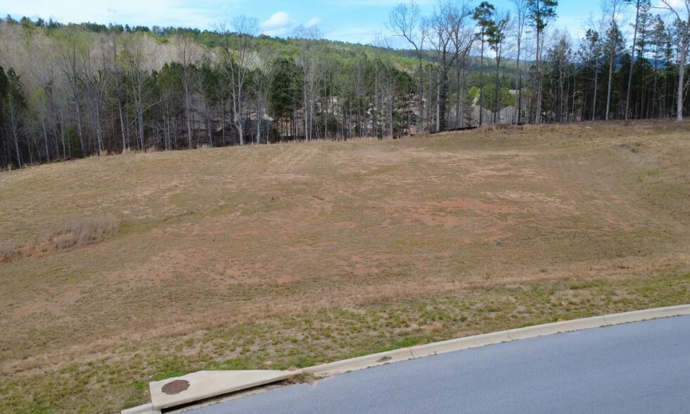 More Photos Of 335 Foothills Pl, Chelsea Land For Sale