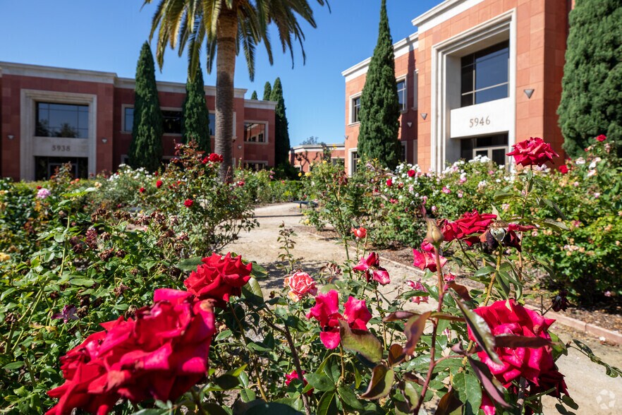 More Photos Of 5962 Priestly Dr, Carlsbad Office For Sale