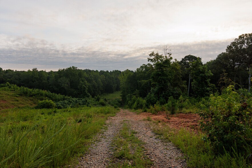 More Photos Of 2199 Roosterville Rd, Roopville Horse Stables For Sale