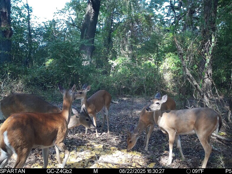 More Photos Of County Road 2592, Marietta Land For Sale