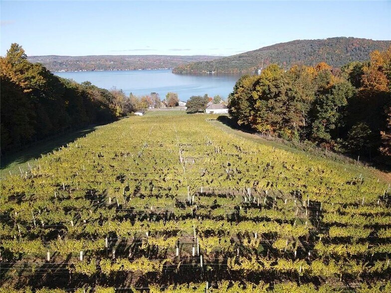 More Photos Of 14630 State Route 54, Hammondsport Winery Vineyard For Sale