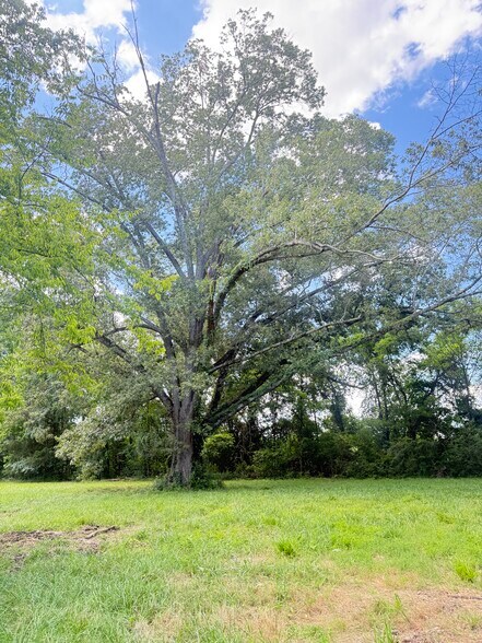 More Photos Of 125 Shadow Ln, Ringgold Land For Sale