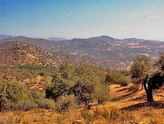 More Photos Of 38176 Cardinal, Yokuts Valley Land For Sale