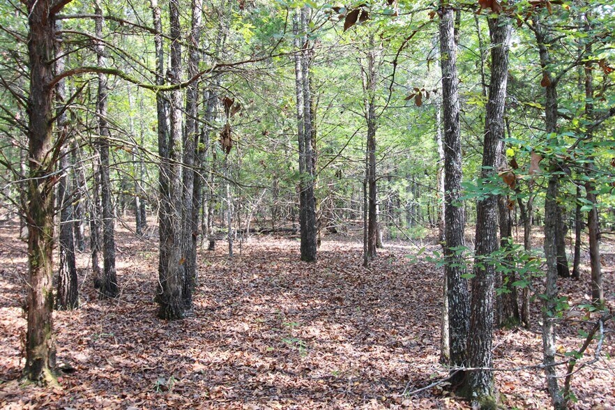 More Photos Of 226 Blythe rd, Greenbrier Land For Sale