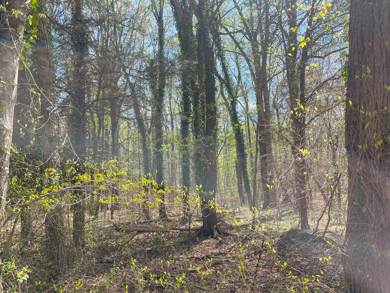 More Photos Of 38.66 Acres - Neck Road, Aquasco Land For Sale