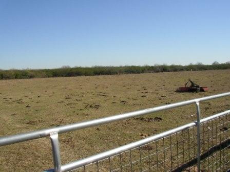 More Photos Of 1966 Hluchan Rd, Sealy Land For Sale