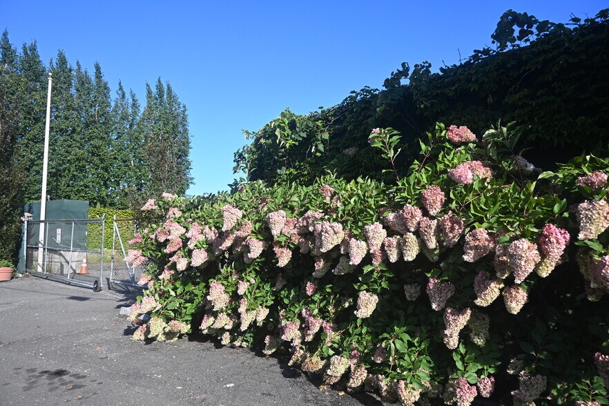 More Photos Of 305 Selleck St, Stamford Land For Lease