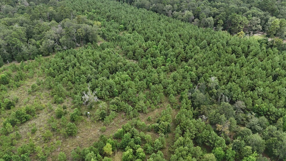 More Photos Of 1378 N Duck Creek Rd, Cleveland Land For Sale