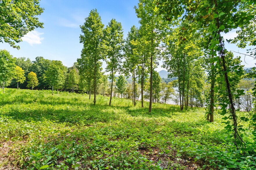 More Photos Of 314 Lakeside dr, Hiawassee Land For Sale