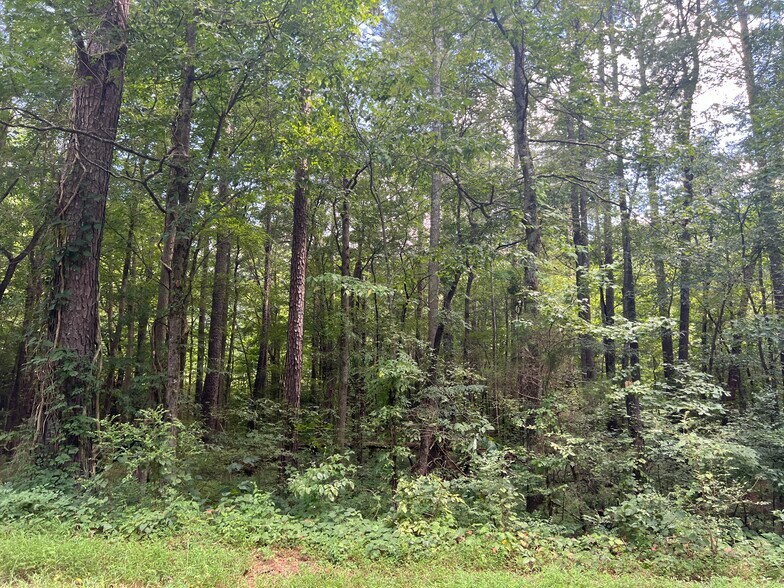 More Photos Of Hwy 411 & Maxwell Rd, Rydal Land For Sale