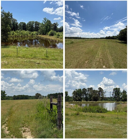 More Photos Of 1657 Hamm Rd, Blountsville Land For Sale