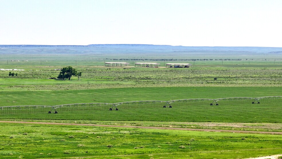 More Photos Of 48999 County Road 48, Model Land For Sale