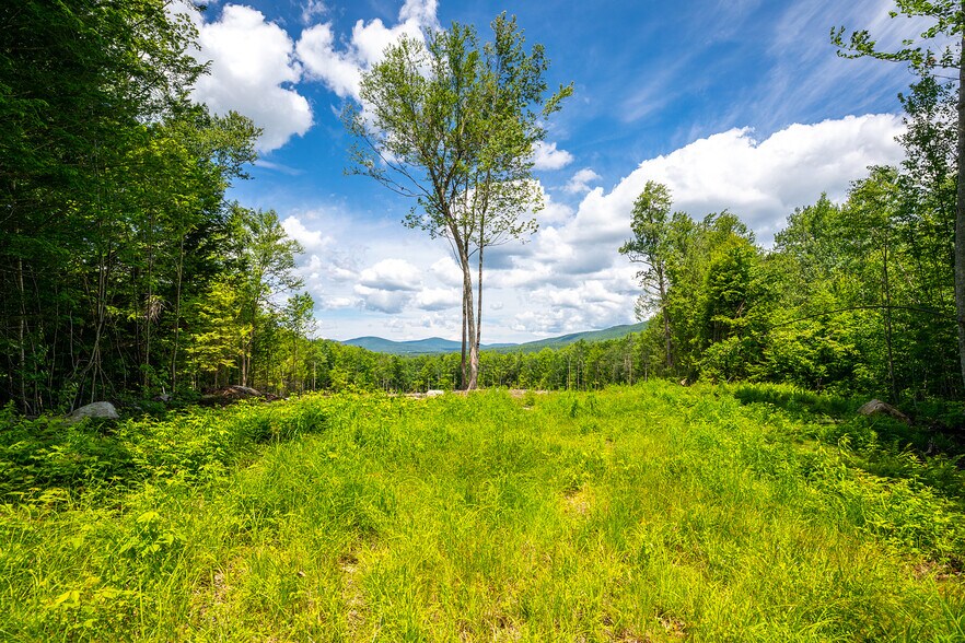 More Photos Of 0 Little Pond Road, Andover Land For Sale