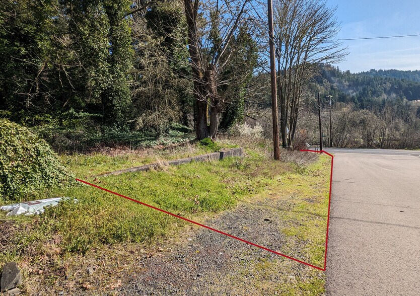 More Photos Of 517 First St, Drain Land For Sale