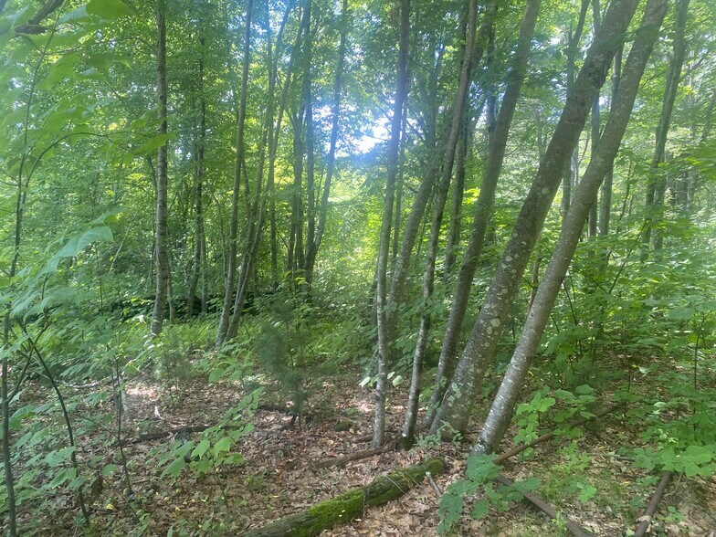 More Photos Of Thresher Rd, Hardwick Land For Sale