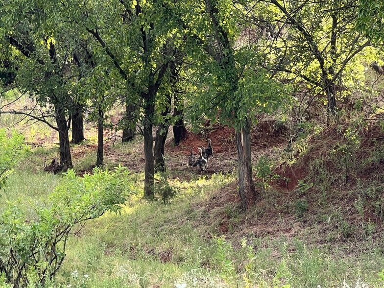 More Photos Of 10807 N 1960 Rd, Elk City Land For Sale