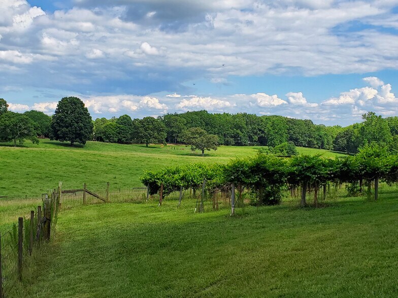 More Photos Of 999 Settles Rd, Suwanee Land For Lease