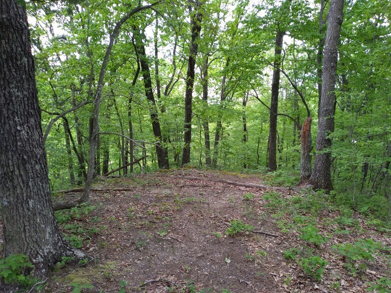 More Photos Of 1737A High Rock Rd, Stanton Land For Sale