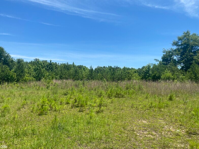 More Photos Of 000 Mizell Road, Tuskegee Land For Sale