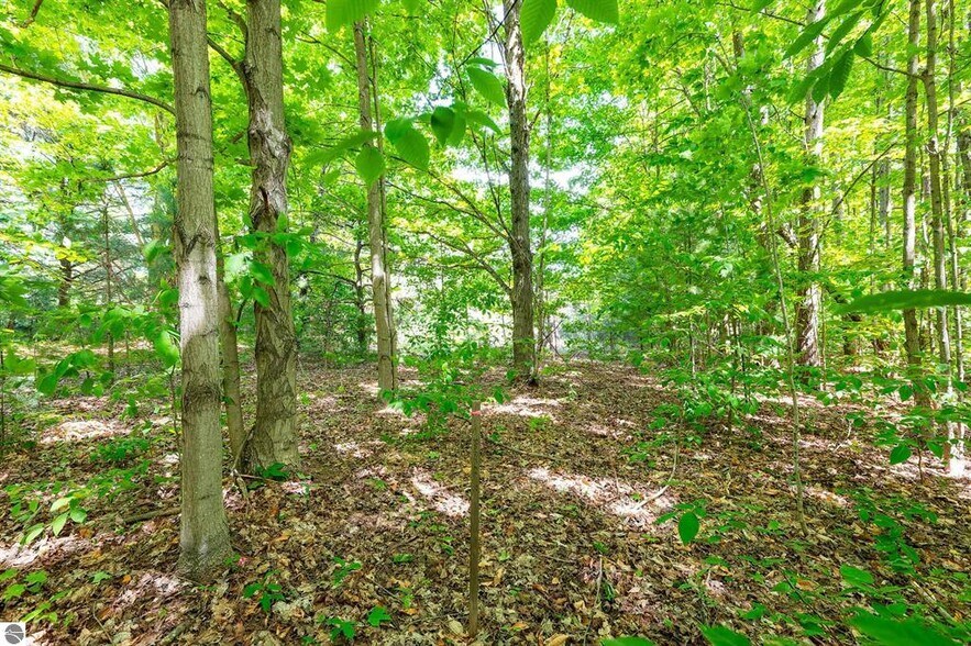 More Photos Of 7764 Weldon Road rd, Thompsonville Land For Sale