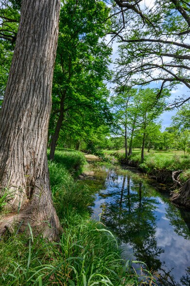 Primary Photo Of 114 Bledsoe Ranch Road, Center Point Land For Sale