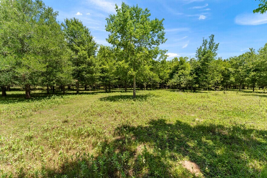 More Photos Of 10840 FM 442, Boling Land For Sale