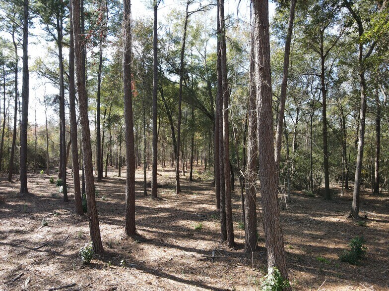 More Photos Of 00 Spur 149 Rd, Magnolia Land For Sale