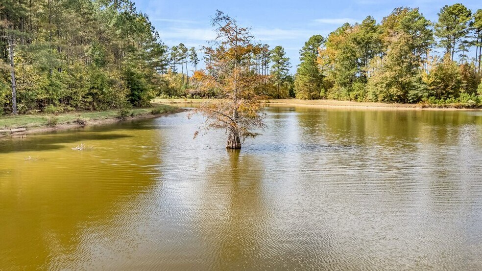 More Photos Of 5497 MS-12 Hwy, Sturgis Land For Sale