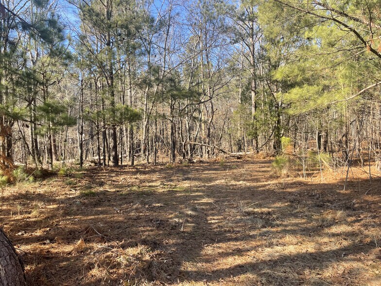 More Photos Of 751 Western Ln, Irmo Land For Sale