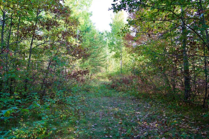 More Photos Of 371 Hwy, Brainerd Land For Sale