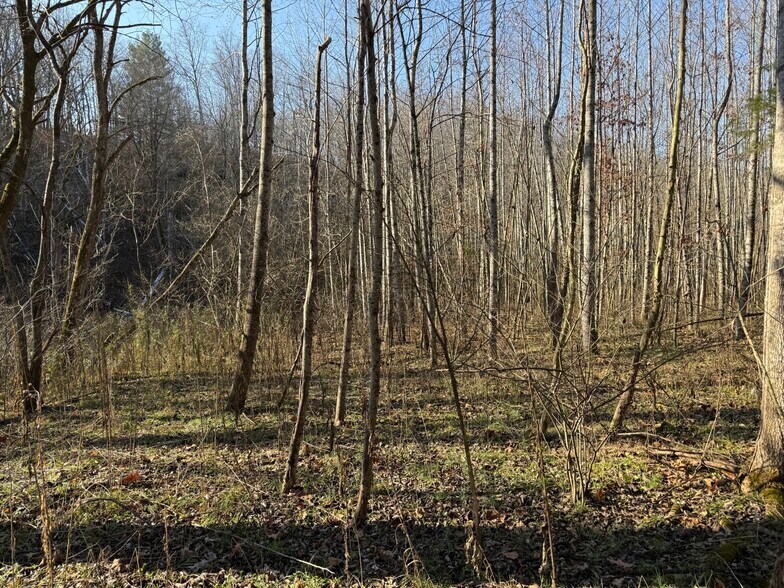 More Photos Of 4604 Summersville Rd, Campbellsville Land For Sale