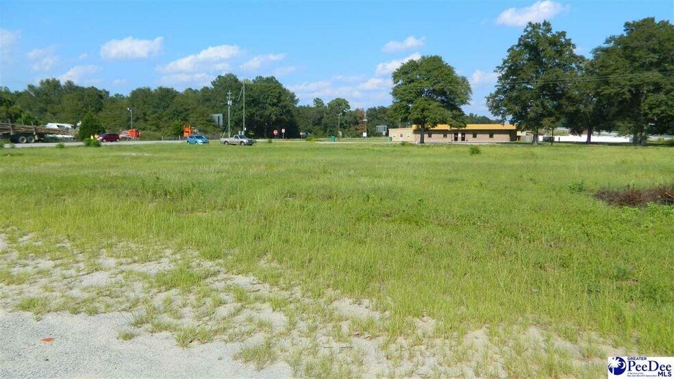 More Photos Of 4603 W Highway 76, Marion Land For Sale