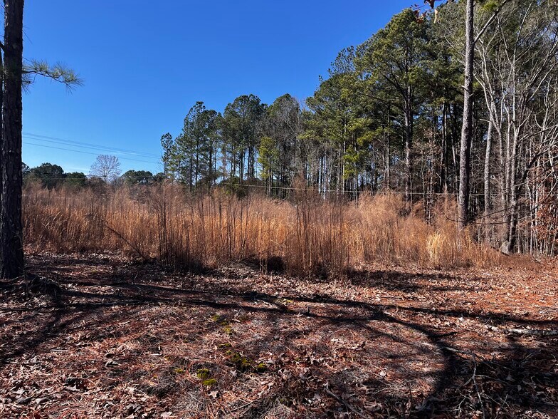 More Photos Of 1284 NC 50, Benson Land For Sale