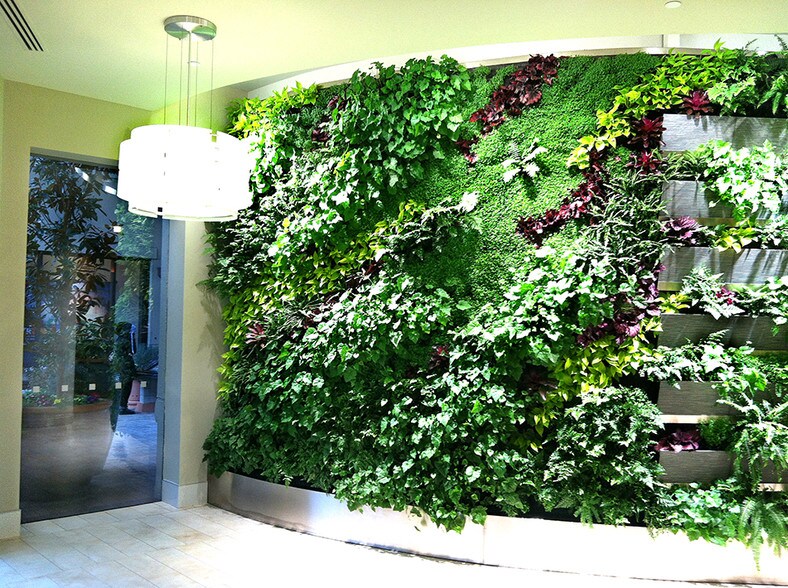 Primary Photo Of 770 Tamalpais Dr, Corte Madera Office For Lease