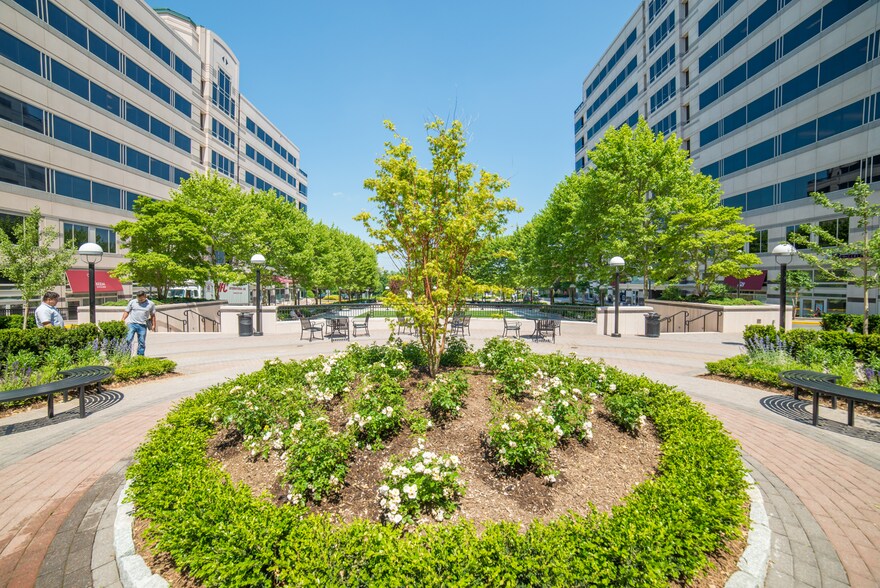 More Photos Of 11700 Plaza America Dr, Reston Office For Lease