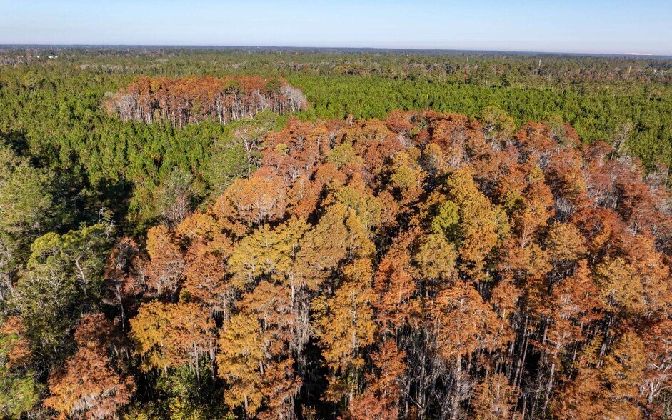 More Photos Of CR 137, Wellborn Land For Sale