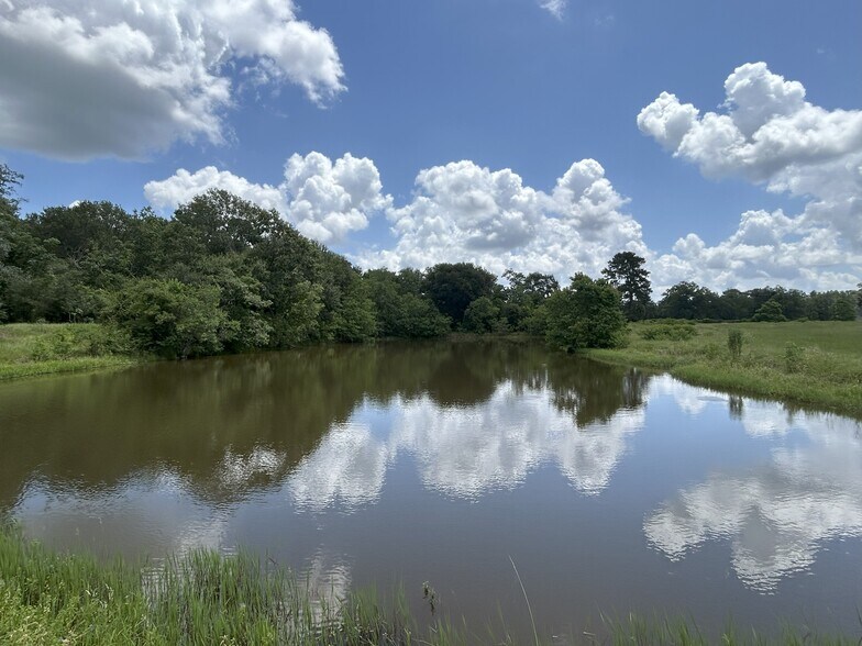 More Photos Of 25396 Magnolia Rd, Hockley Land For Sale