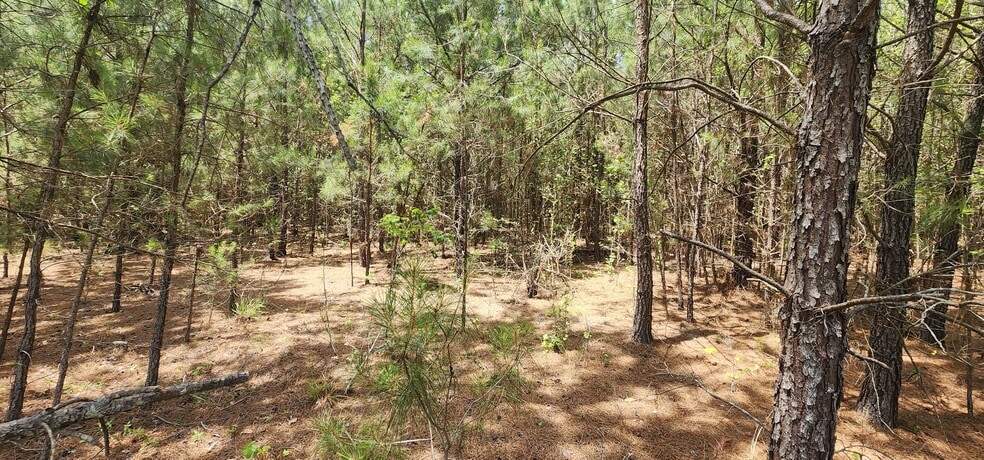 More Photos Of 653 Lost Horn Rd, Branchville Land For Sale
