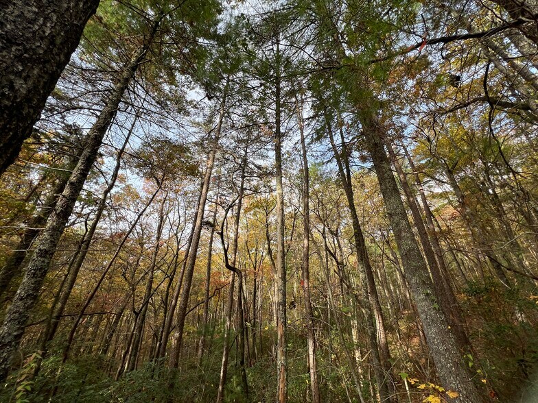 More Photos Of Whitecliff Drive, Ellijay Land For Sale