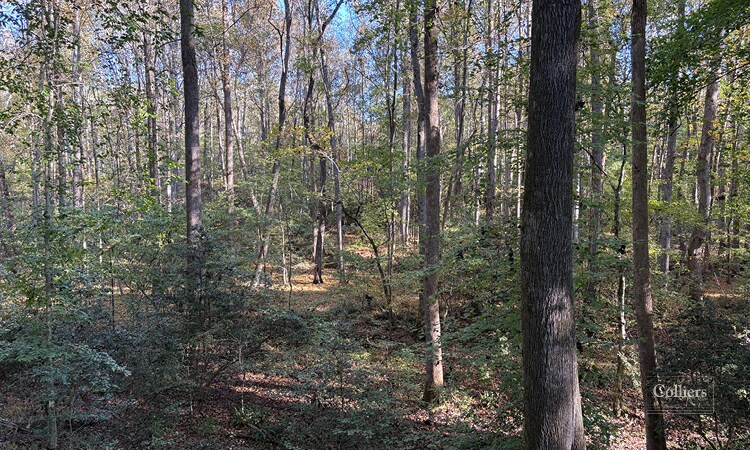 More Photos Of 00 Traynham Rd, Honea Path Land For Sale