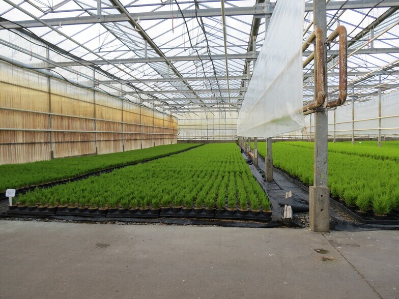 Primary Photo Of 50284 Yale, Chilliwack Land For Sale