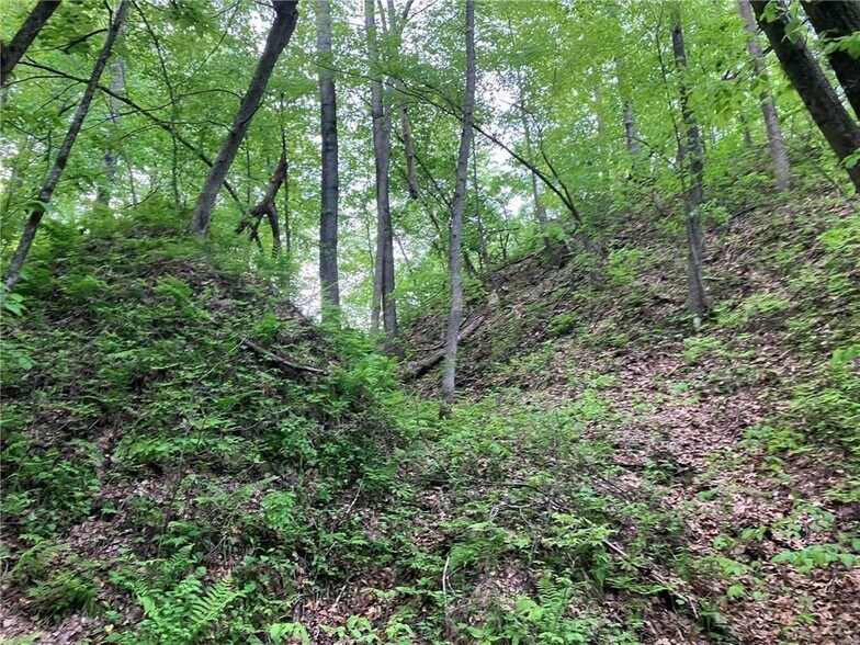 More Photos Of N3953 Bear Pen Rd, Arkansaw Land For Sale