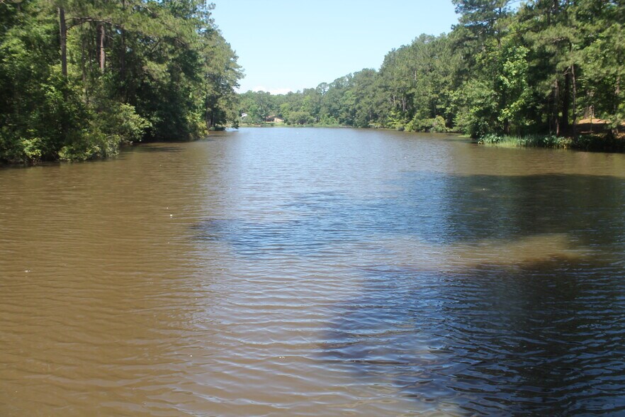 More Photos Of 248 WOODSY Holw, Goodrich Land For Sale