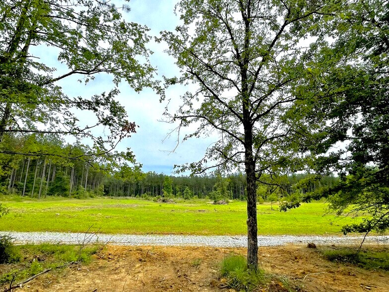 More Photos Of 92 Lillian Strong rd, Carlton Land For Sale